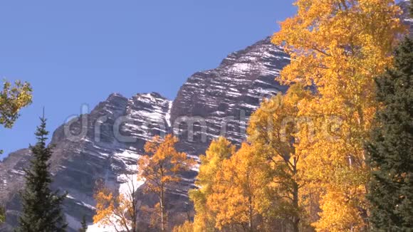雪山被秋天的树视频的预览图