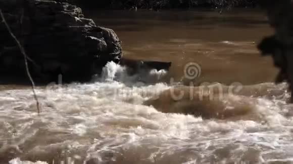 佐治亚州奥尔德洛佩米尔路公园靠近小河上的一个小瀑布视频的预览图