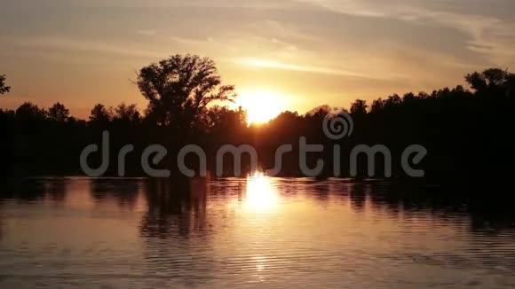 美丽的风景日落在湖边的森林上时间流逝视频的预览图
