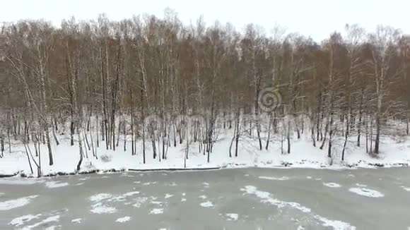 俄罗斯的温塔尔森林视频的预览图