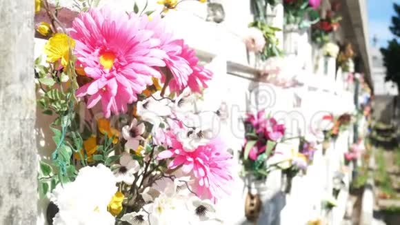 4K墓地花卉墓葬春草花卉视频的预览图