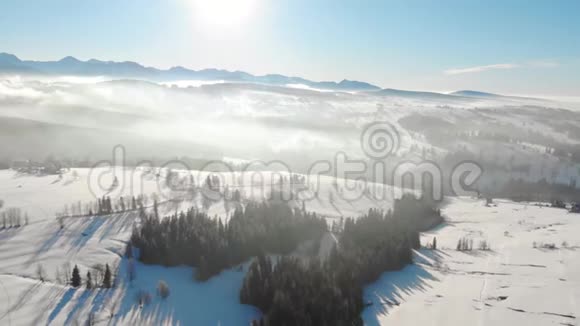 雾霭中的树木和明亮的阳光下的山间雪谷的无人视野视频的预览图