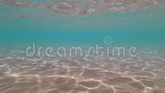 蓝色海水阳光折射沙底水下环准备背景视频的预览图
