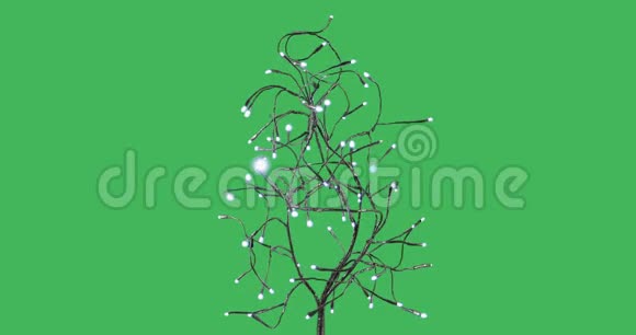 金属外来树与二极管灯绿色屏幕色度键背景视频的预览图
