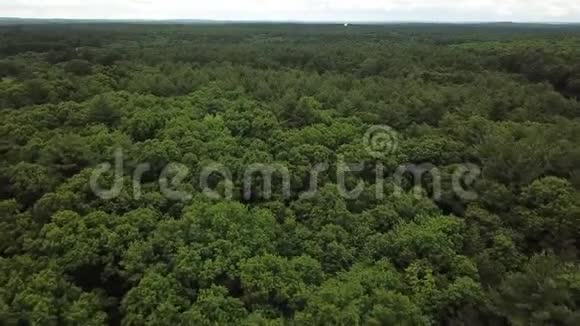 森林从无人机上看4K波士顿视频的预览图