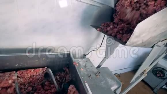 小块的肉从一个容器中掉到一个工作的搅拌机器上视频的预览图