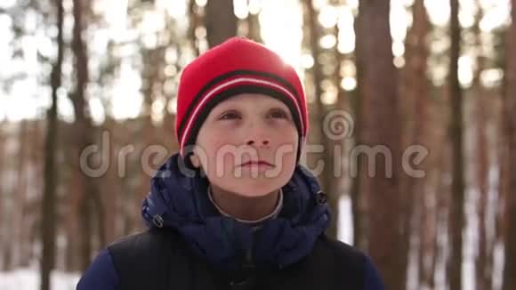 戴红帽子的男孩在雪林视频的预览图