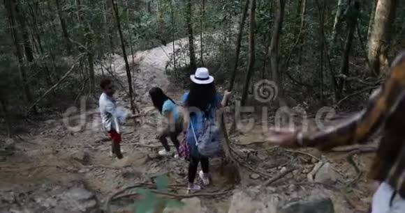 森林下山人群的后后观徒步旅行的游客在积极度假的木路上视频的预览图