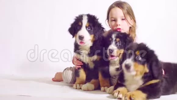 一只伯尔尼牧羊犬的女孩和三只小狗视频的预览图