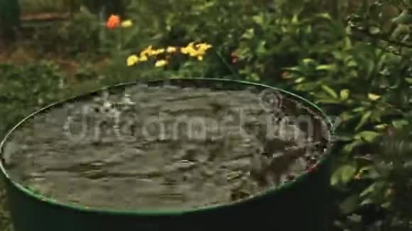雨水在雨中填满了蓝色的水桶视频的预览图