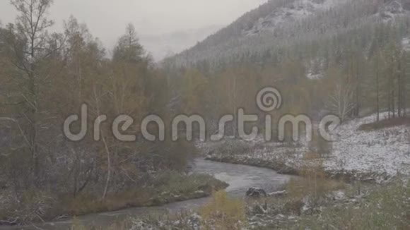 降雪期间冬季山体景观山脉河流小溪和树木视频的预览图