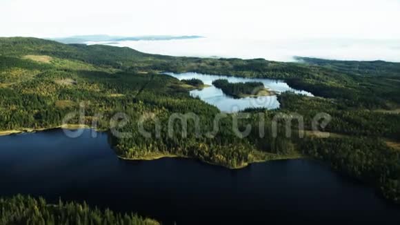 从空中看到的森林视频的预览图