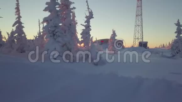 山坡上的雪树视频的预览图