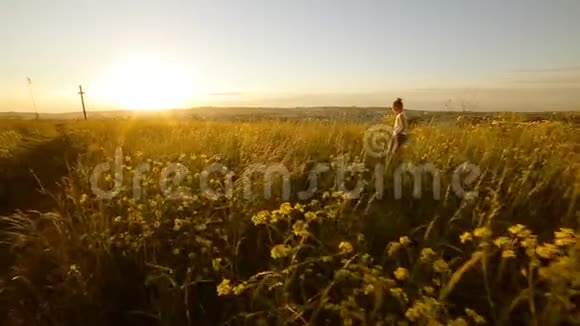 年轻女孩走在田野上在夕阳下穿越视频的预览图