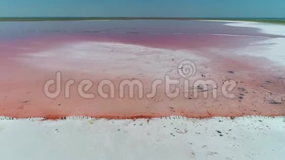 蓝天背景下白色沙滩上美丽的粉红色湖泊视频的预览图