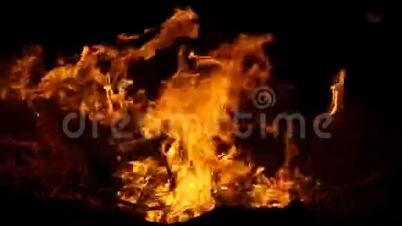 黑色海岸的一个巨大的火焰在深夜的斯洛文尼亚视频的预览图