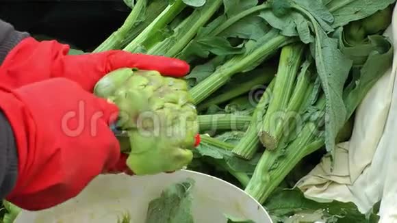 菊芋蔬菜准备烹饪视频的预览图
