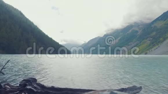 库切尔拉河在雪山的背景下流过森林夏天晴空万里视频的预览图