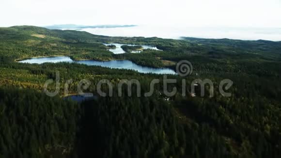 从空中看到的森林视频的预览图