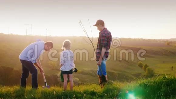 一个父亲带着两个孩子儿子和女儿一起种一棵树画面背景灯光在前面视频的预览图