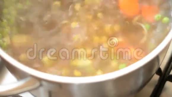 蔬菜汤视频的预览图