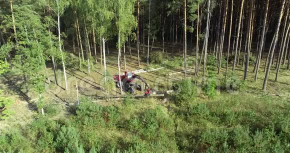 森林收割机切割木材的过程视频的预览图