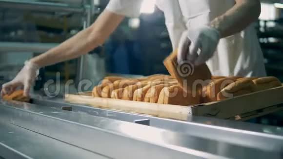 烘焙包装线工人把面包放在传送带上视频的预览图