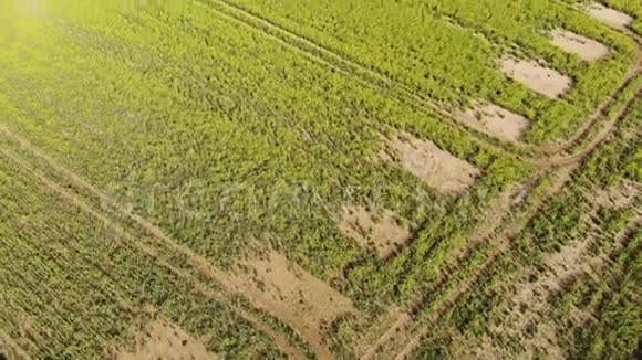 在农村的农场上空飞行从空中俯瞰田野视频的预览图