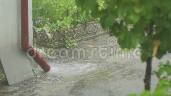 在强降雨期间水从排水管流向地面视频的预览图