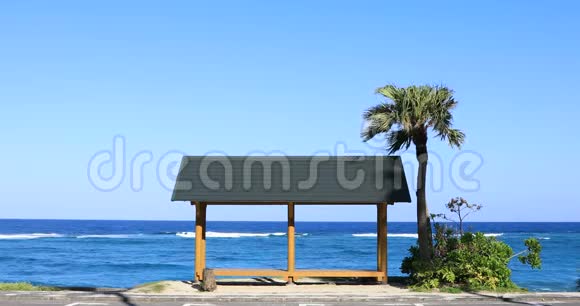 鹿儿岛大山海滩的棕榈树和亭子视频的预览图