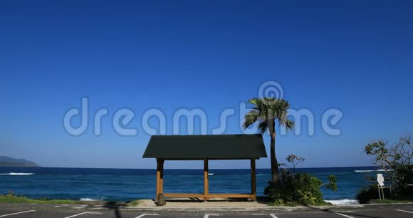 鹿儿岛大山海滩的棕榈树和亭子视频的预览图