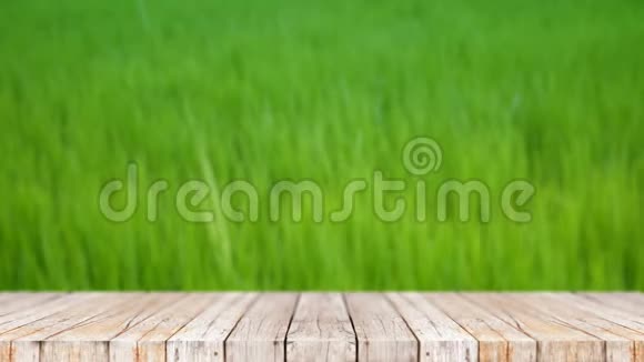 4K木地板与自然的绿色背景视频的预览图