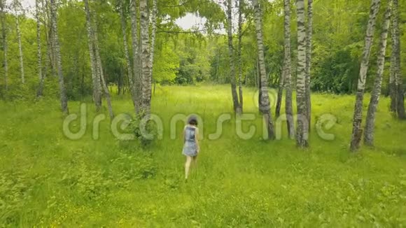 从森林中的年轻女子上面看在桦树林里微笑的女孩视频的预览图
