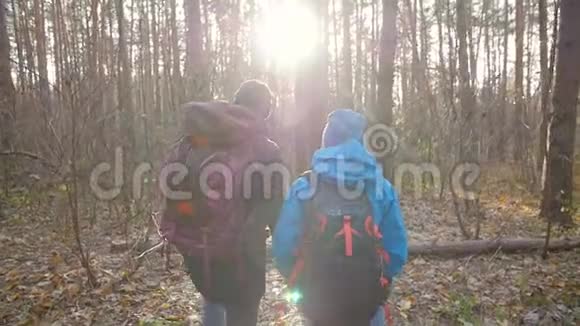 徒步旅行和自然旅行的概念秋天在森林里的一对徒步旅行者视频的预览图