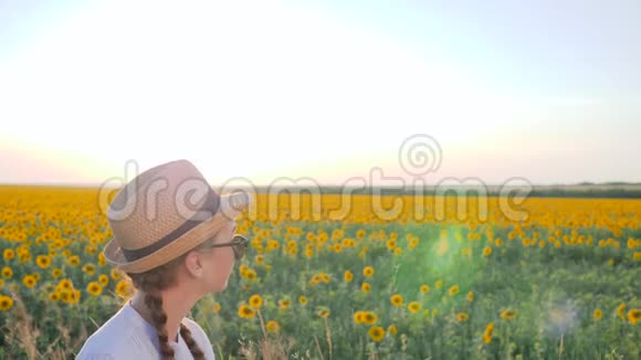 背景蓝色的天空和向日葵上背光的女肖像戴着眼镜和帽子的女孩旁边有田野视频的预览图