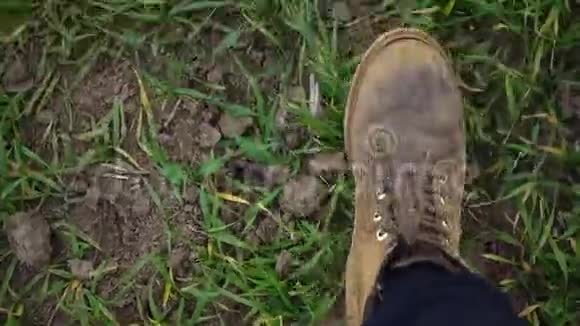 红靴在草地上行走的俯视图视频的预览图