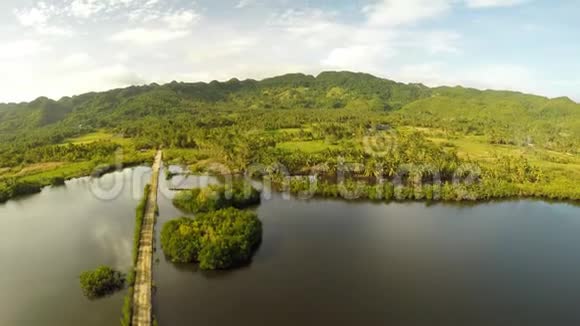 菲律宾性质棕榈种植园和丛林有山丘和湖泊博霍尔岛视频的预览图