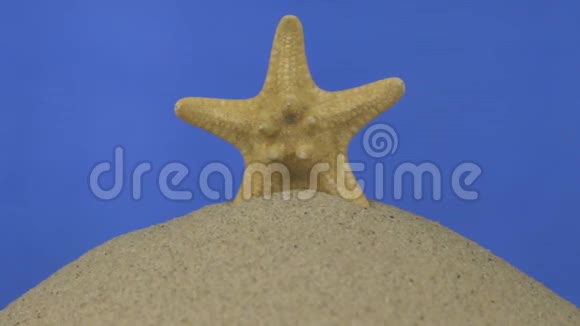 旋转黄色美丽的海星站在一堆沙子上孤立的蓝色屏幕视频的预览图