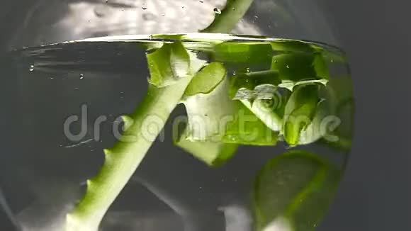 芦荟植物片水碗视频的预览图