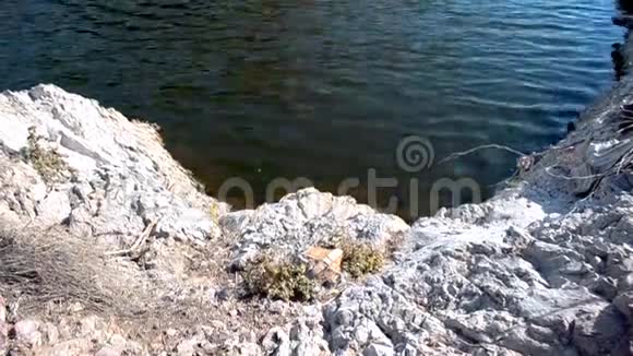 肮脏的水平静地流在岩石上而沙海岸顶部的角度视频的预览图