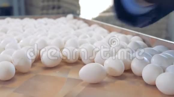 鸡蛋的分拣过程手拿走鸡蛋4K视频的预览图