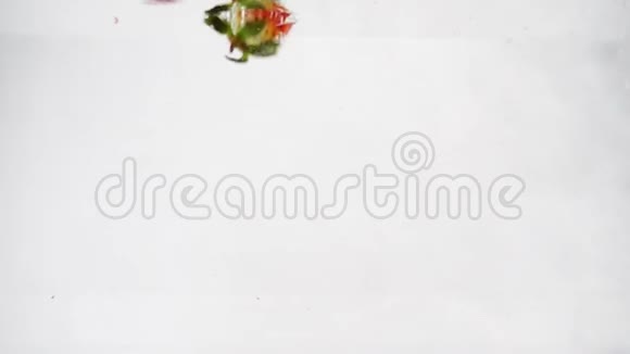 红色浆果带着气泡掉进水里缓慢运动的草莓视频的预览图