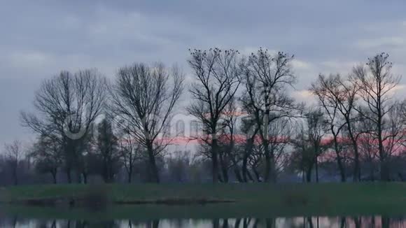 湖和树与乌鸦视频的预览图