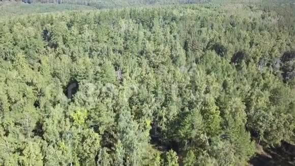空中无人机飞过北欧森林在4K中被击中视频的预览图