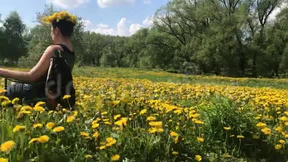 春天的草地上长满了开花的蒲公英阳光明媚的春天在公园里视频的预览图