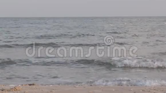 海鸥坐在海浪上视频的预览图