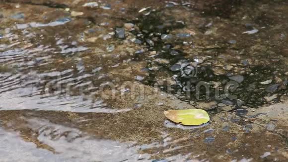 特写镜头拍摄雨落在雨路水面视频的预览图