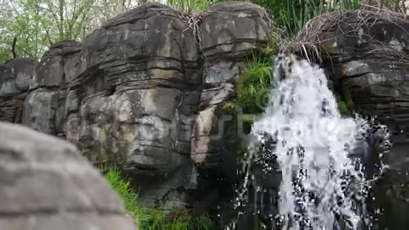 在丛林中建立夏季瀑布视频的预览图