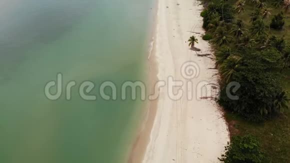 空中无人驾驶飞机观看绿色海洋与小船和白色沙滩海岸与热带植物在泰国椰子棕榈视频的预览图