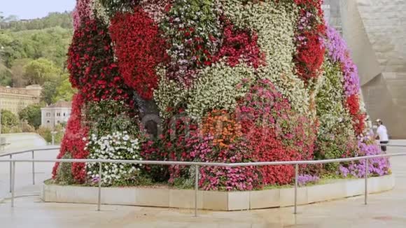 毕尔巴鄂的小狗五彩花雕创意花卉设计旅游视频的预览图